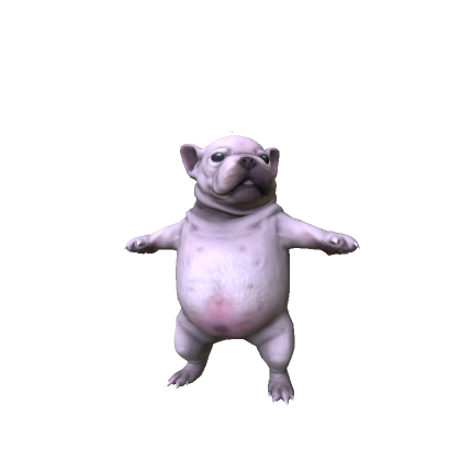 Wash My Bellay Pibble Dog