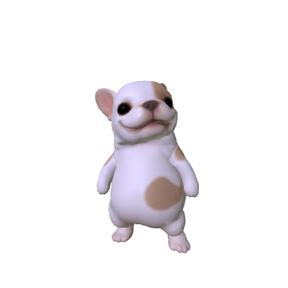 Chubby pibble dog