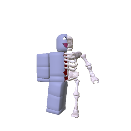 Skeleton