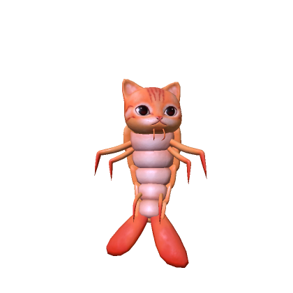 Shrimp Cat