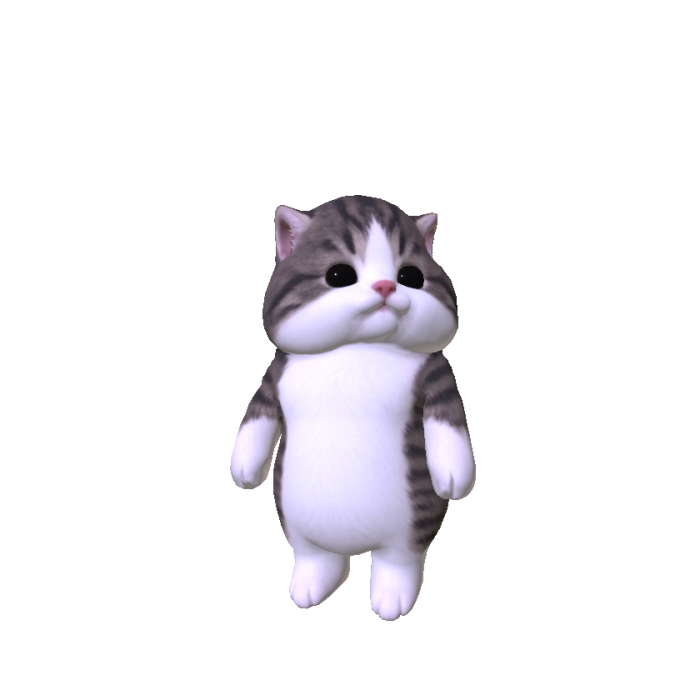 Chubby Cheeked Kitten