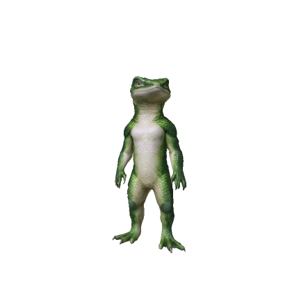 Lizard
