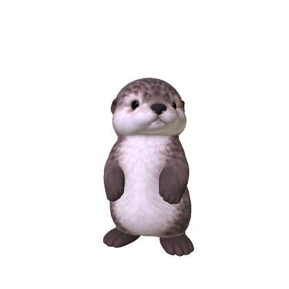 Sea Otter