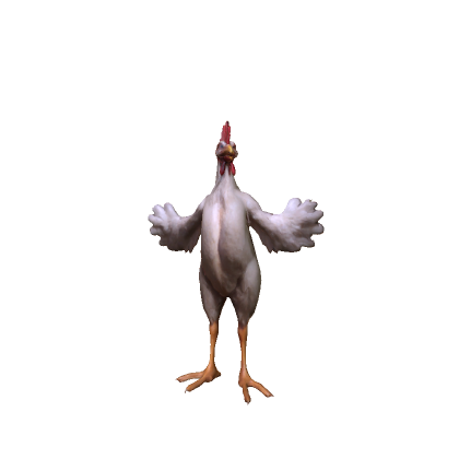 Realistic Chicken