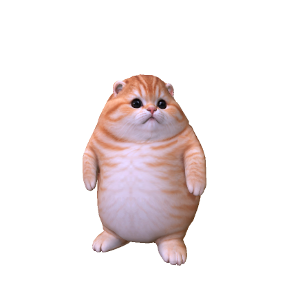 Big Fat Cat