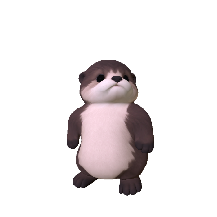 Chubby Sea Otter