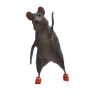 Grey_230902's avatar
