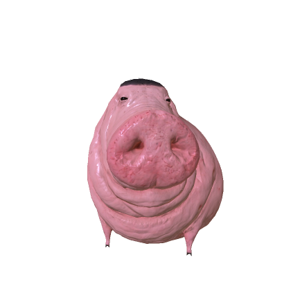 Fresh Pig