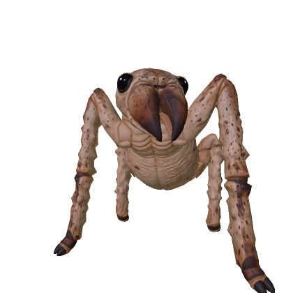 Spider