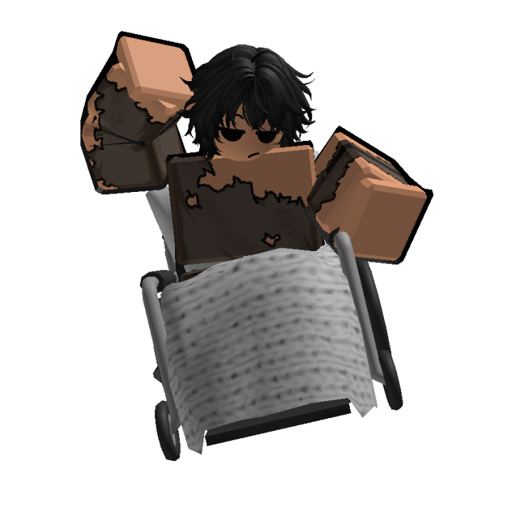 Roblox banner for @holing