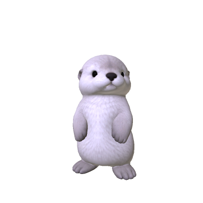Cute Sea Otter