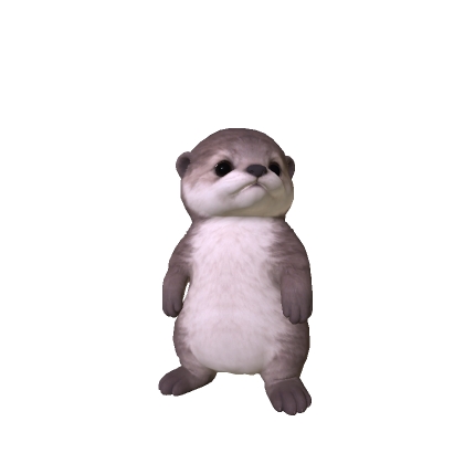 Little Sea Otter