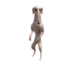 TheSmartRat's avatar