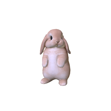 Little Chubby Bunny