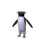 Cadu Penguin