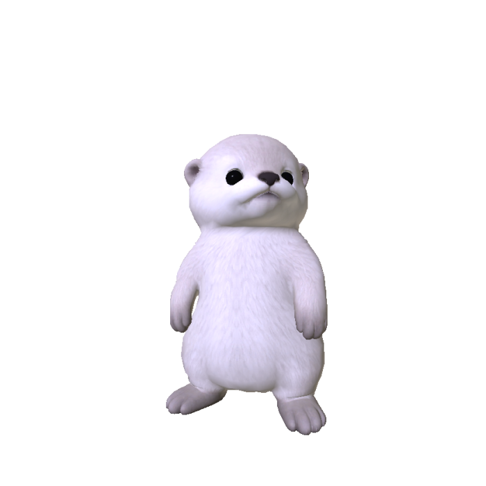 Little Sea Otter