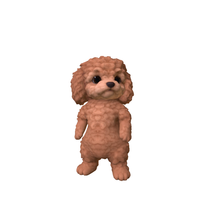 Little Poodle Puppy