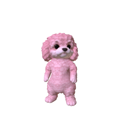 Little Poodle Puppy