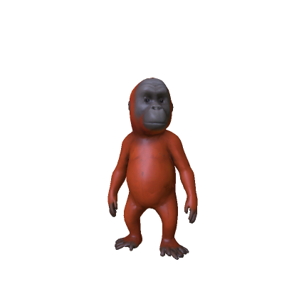 Cute Baby Orangutan Animal 🦧 thumbnail