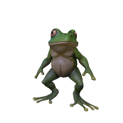 Frog