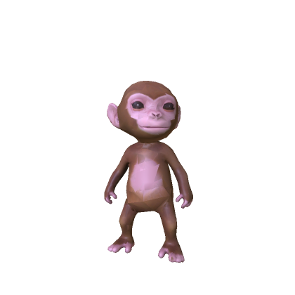 Baby Monkey
