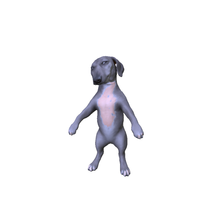 Side Eye Suspicious Dog