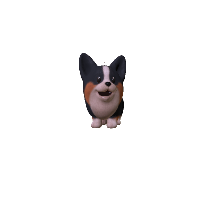 Cute Corgi Dog thumbnail