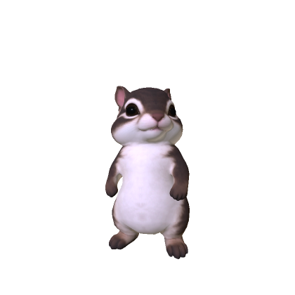 Cute Chimpunk