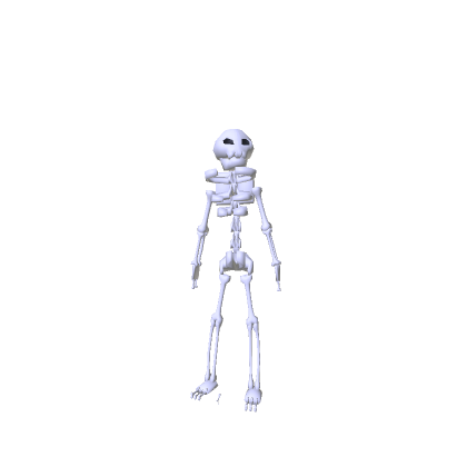 Skelly