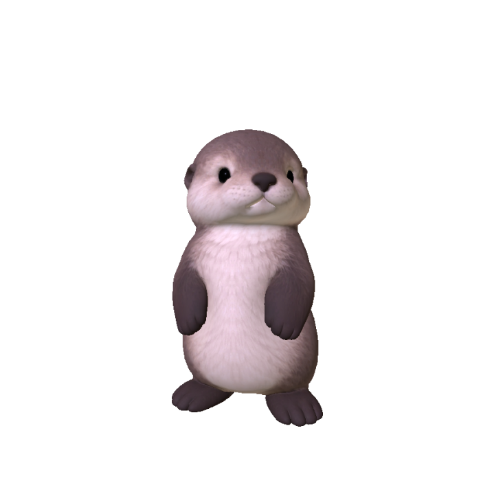 Cute Sea Otter