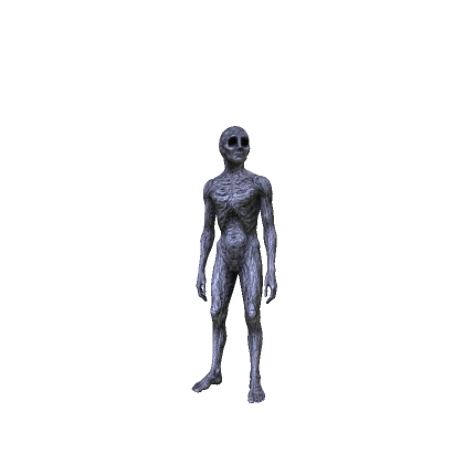 Withered Wojack