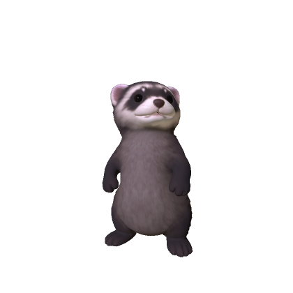 Mini Ferret
