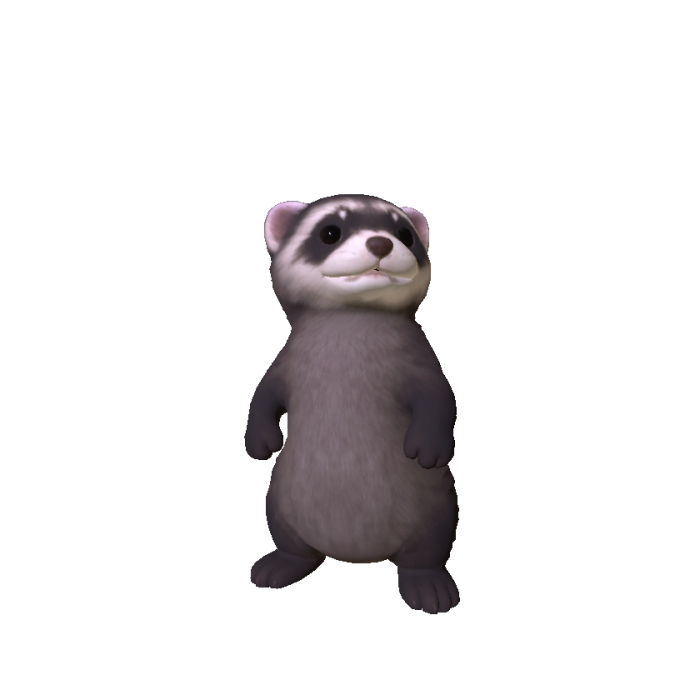 Mini Ferret