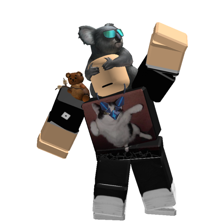 Roblox banner for @pehso6