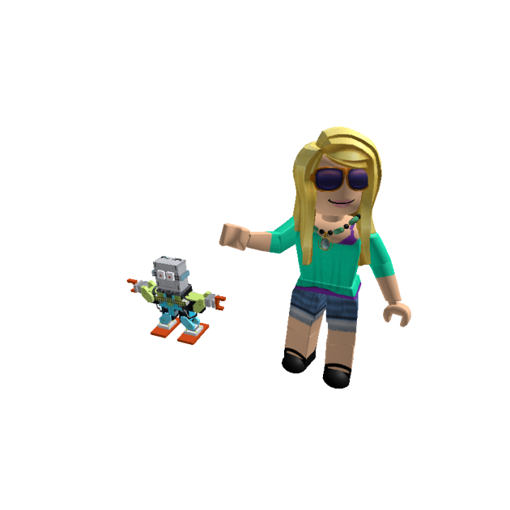 Roblox banner for @flaviavip