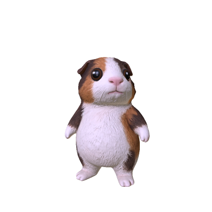 Guinea Pig