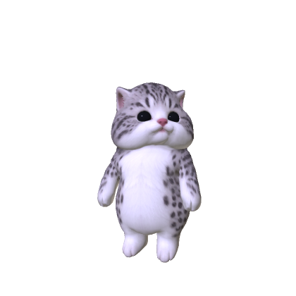 Chubby Cheeked Kitten