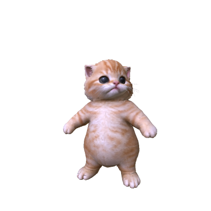 Little Kitten