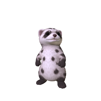 Mini Ferret