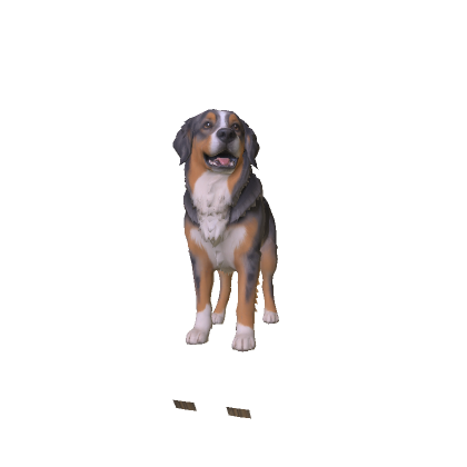 Shepherd Dog