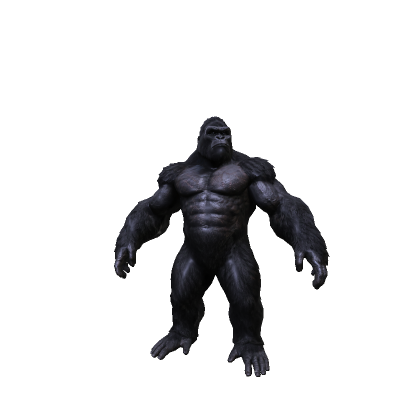 Gorilla