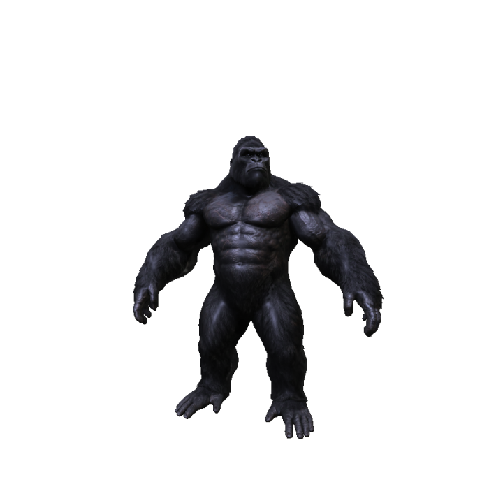 Gorilla