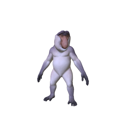 Proboscis Monkey