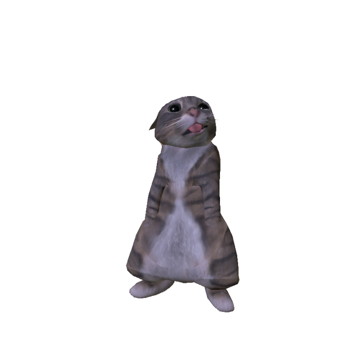 rigby cat