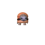 Mini Burger Cat