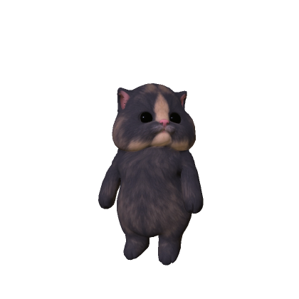 Chubby Cheeked Kitten