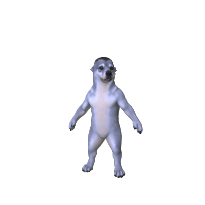 Grey Dog