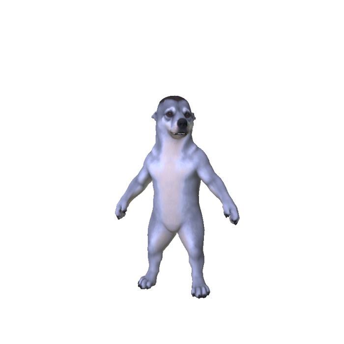 Grey Dog