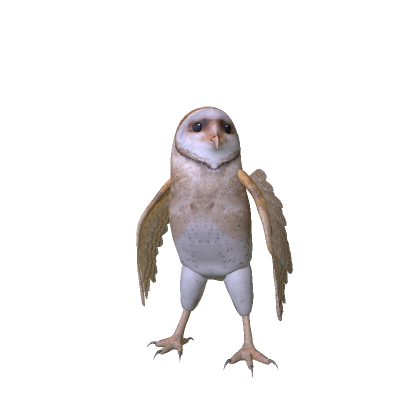 フクロウ　バーンアウル バーンフクロウ