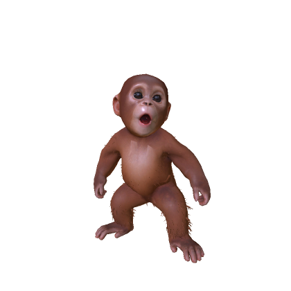 Mini Baby Monkey